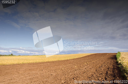 Image of Agricultural fields.