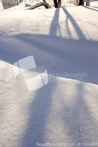 Image of Path covered with snow. Shadows. 