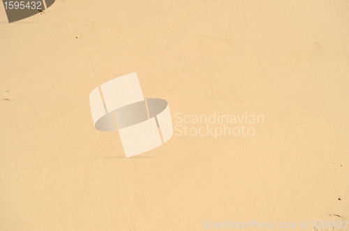 Image of wet sand