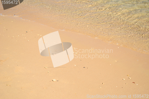 Image of sea shore