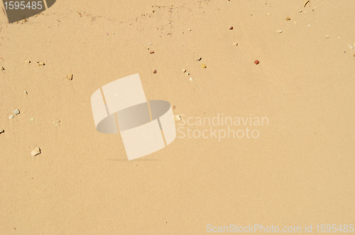 Image of wet sand