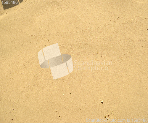 Image of wet sand