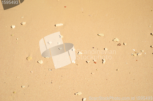 Image of wet sand