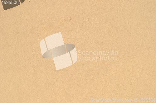 Image of wet sand