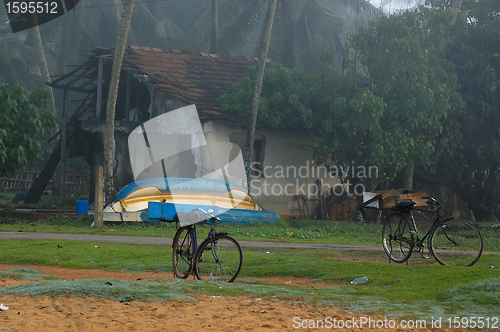 Image of Foggy Morning in the Village in Sri Lanka