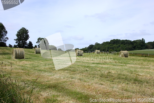 Image of rural landscape, bales of hay in a field in spring