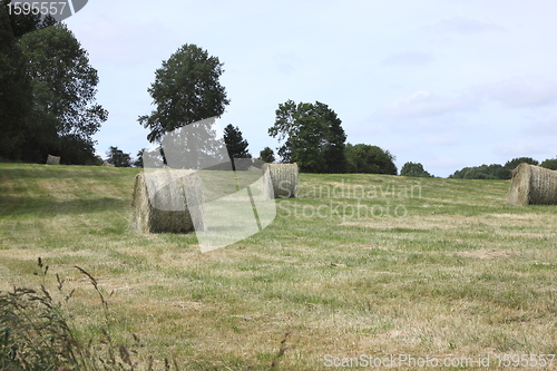 Image of rural landscape, bales of hay in a field in spring