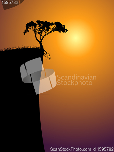 Image of single lonely tree on a precipice