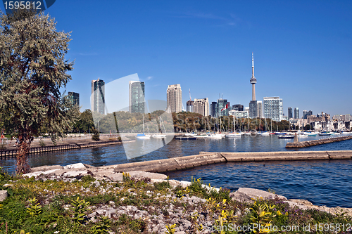 Image of Toronto high rise cityscape panorama CN Tower luxury condominium