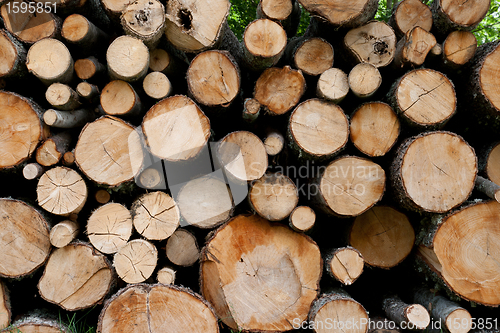 Image of Pile of logs