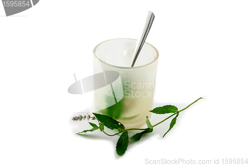 Image of peppermint tea