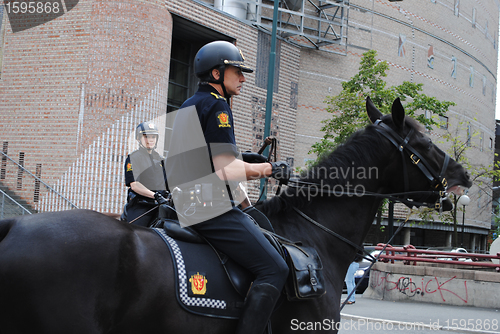 Image of Police horses