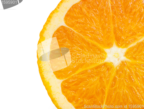 Image of Orange