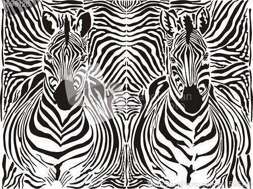 Image of Zebra pattern background 