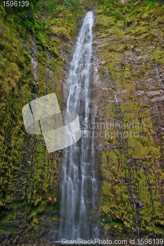 Image of Waimoku Falls in Maui Hawaii