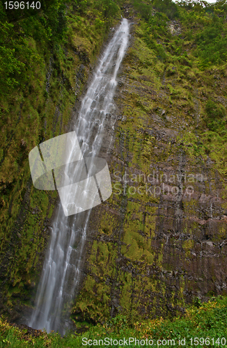 Image of Waimoku Falls in Maui Hawaii