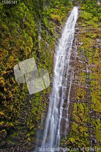 Image of Waimoku Falls in Maui Hawaii