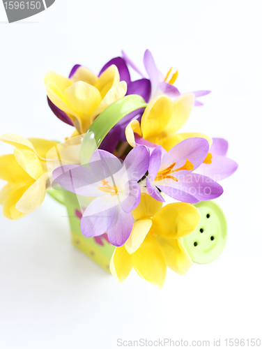 Image of Spring flowers on white background