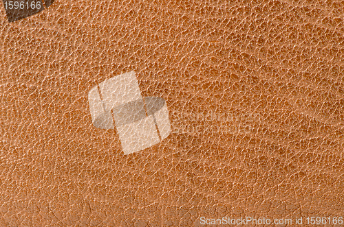 Image of Leather texture 