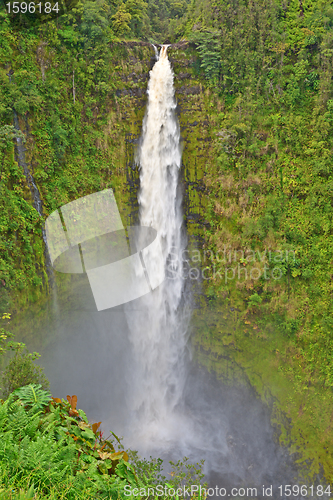 Image of Akaka Falls, Big Island, Hawaii