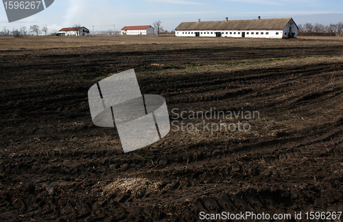 Image of Land and barns