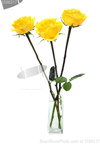 Image of bouquet of yellow roses