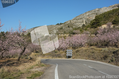 Image of Mountain road