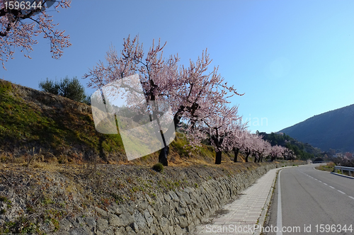 Image of Spring road