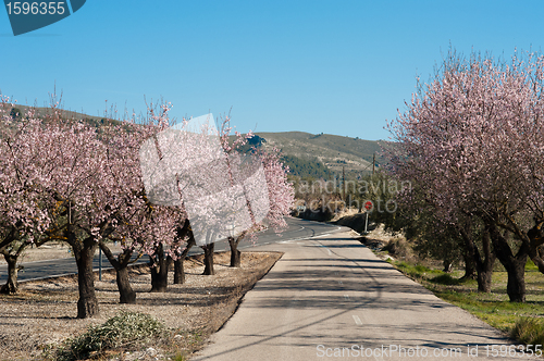 Image of Scenic road