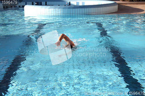 Image of swim the crawl in swimming pool