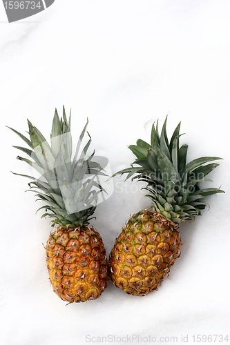 Image of ananas on snow