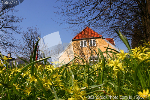 Image of Danish house