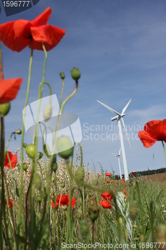 Image of electricity wind mills