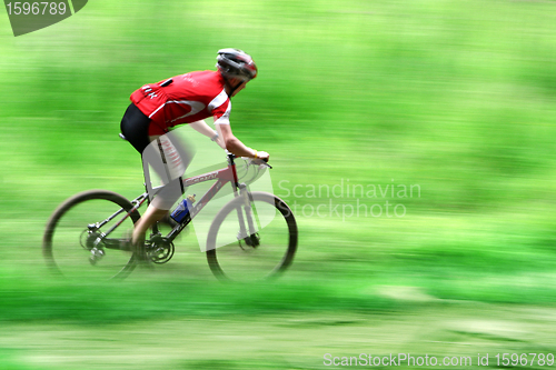 Image of bike race