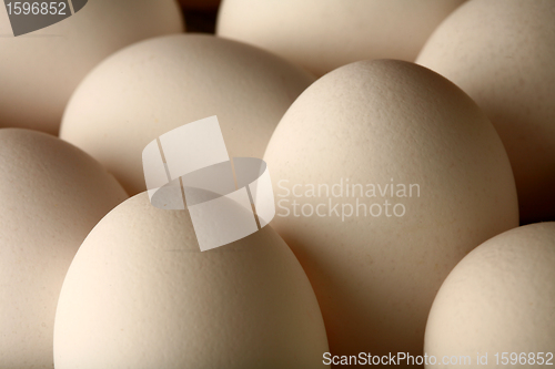 Image of eggs