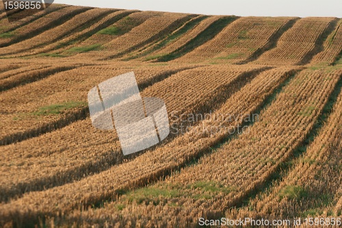 Image of danish landscape01