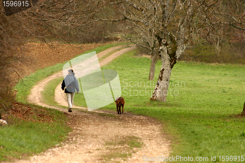 Image of alsacian landscape01