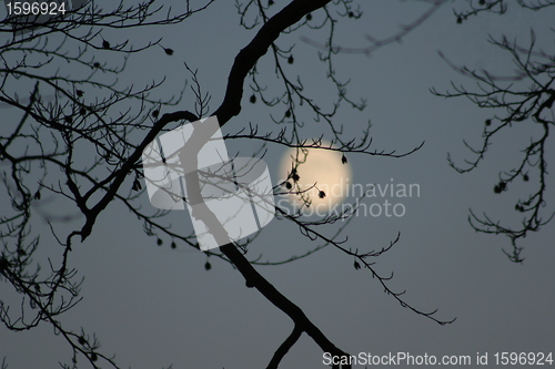 Image of Moon in the sky