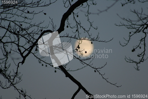 Image of Moon in the sky