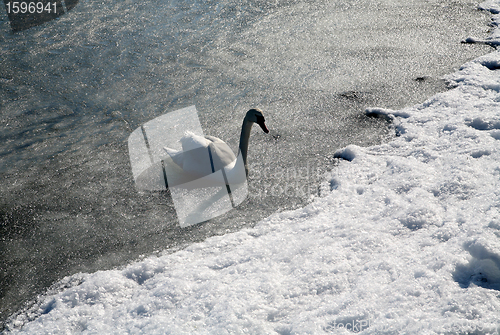 Image of winter in denmark