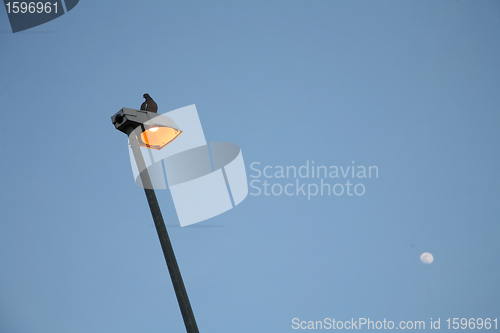 Image of electric light