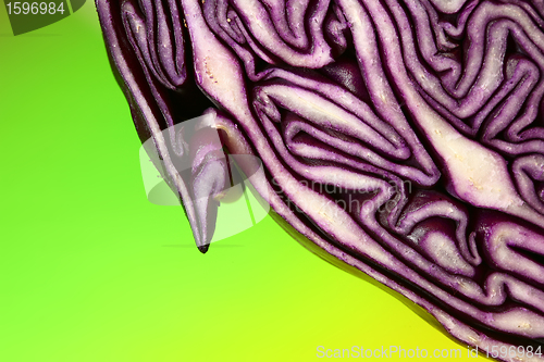 Image of Red cabbage