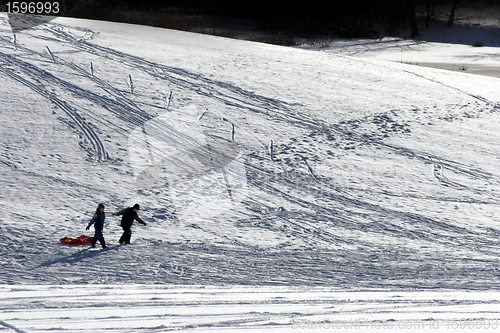 Image of winter  landscape