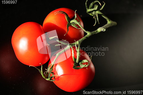 Image of tomatoes