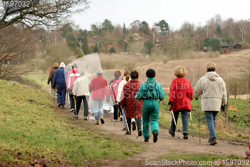 Image of group in the forest