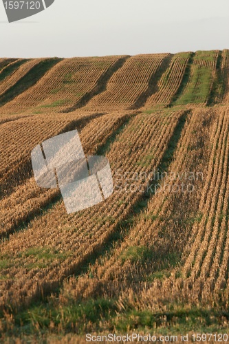 Image of danish landscape01