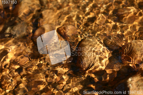 Image of gold water