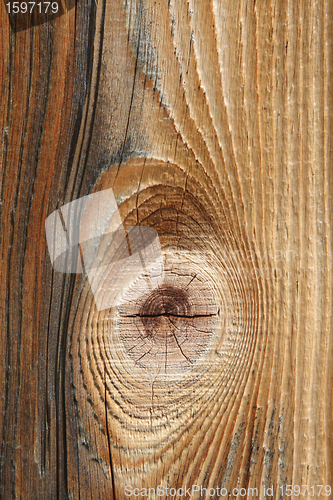 Image of wood
