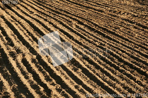 Image of danish landscape01