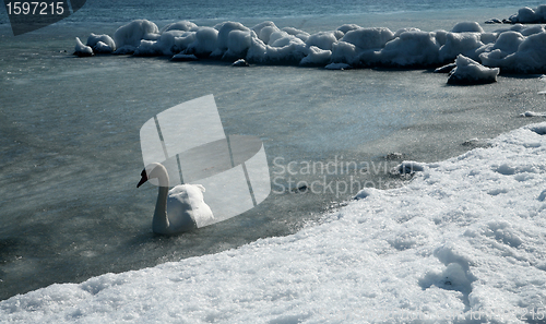 Image of winter in denmark